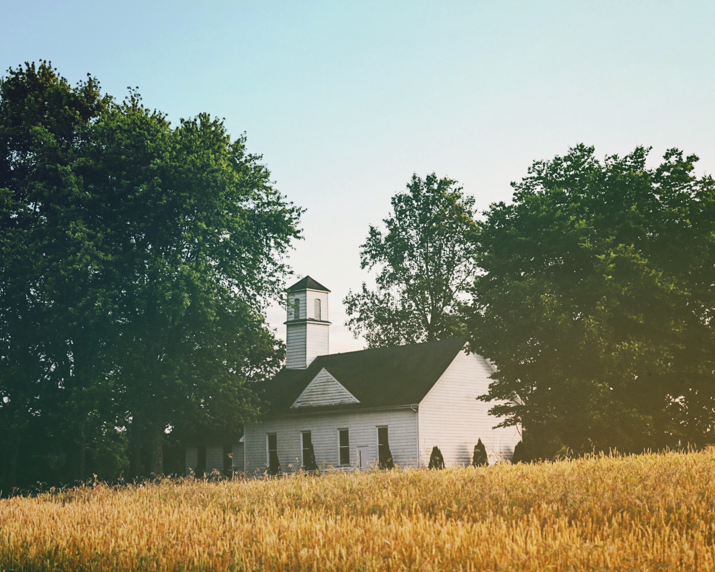 Old church and wheat field.