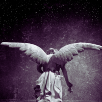 angel in the night