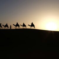 Wise men on camels